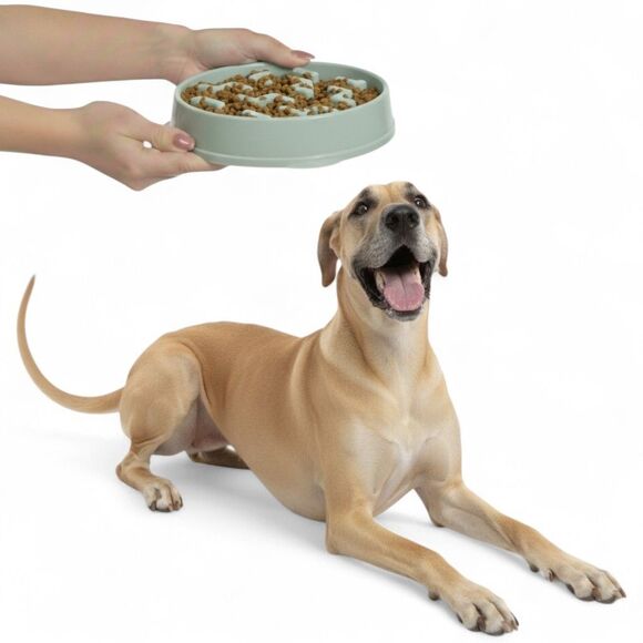 NWT Outward Hound Slo Bowl Sage Green LARGE Slow Feeder Anti Bloat Dog Bowl - Picture 1 of 10